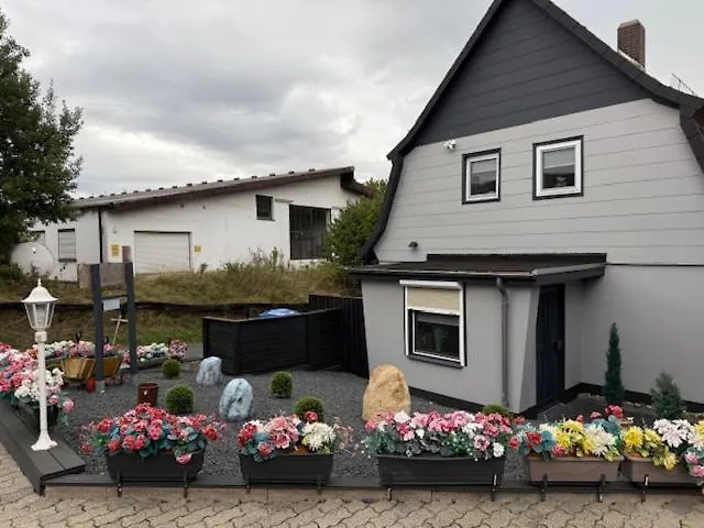 Naehe Lamspringe דירה